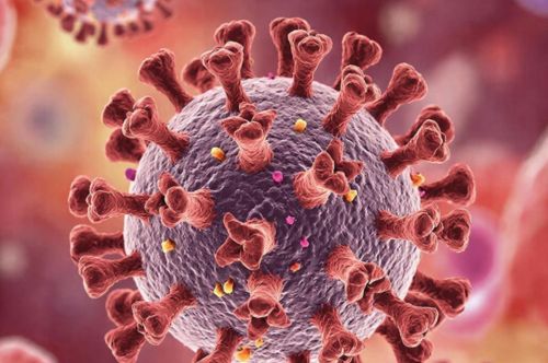 «Омикрон»: насколько сильно стоит переживать?