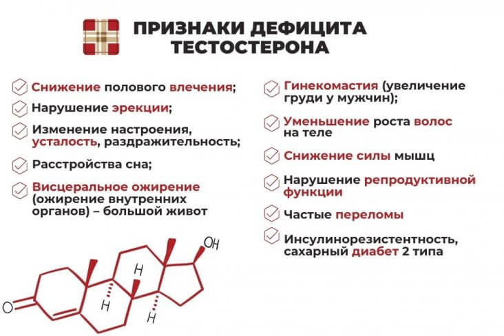 Тестостерон у мужчин - Как повысить тестостерон? - Клиника Евромед